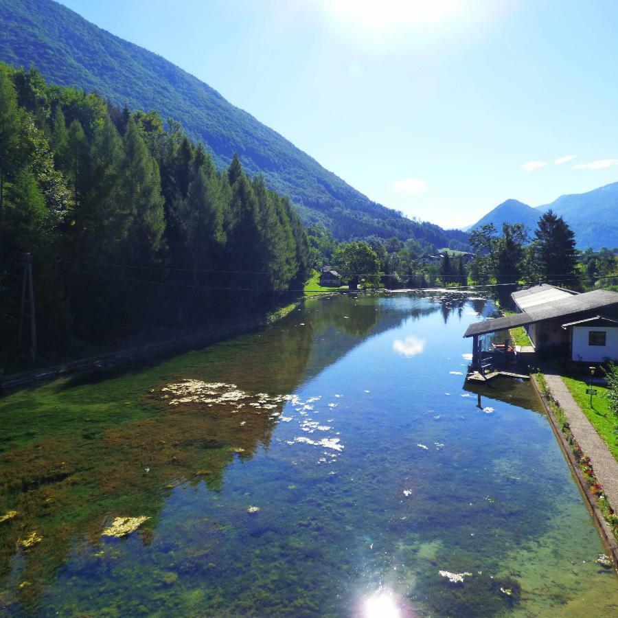 Wieselmuehle Forellenhof Gruenau im Almtal Exterior photo