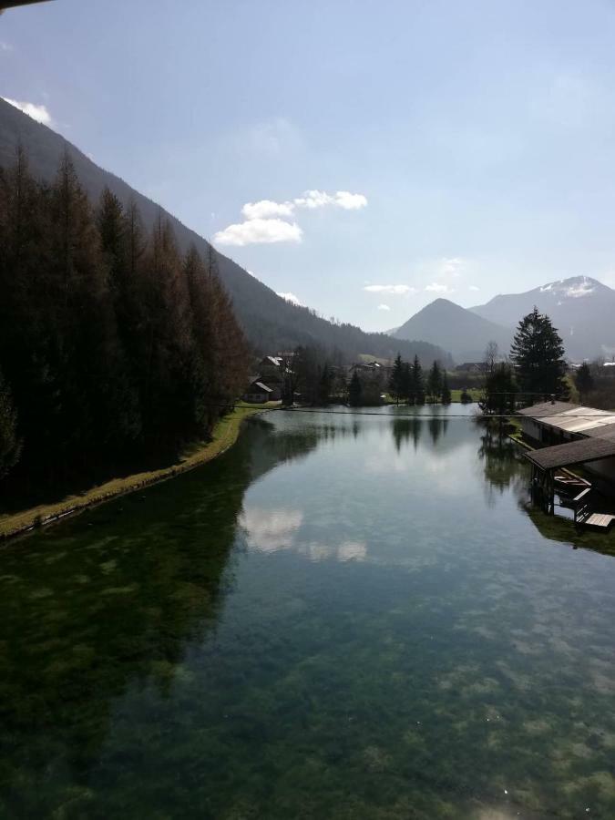 Wieselmuehle Forellenhof Gruenau im Almtal Exterior photo