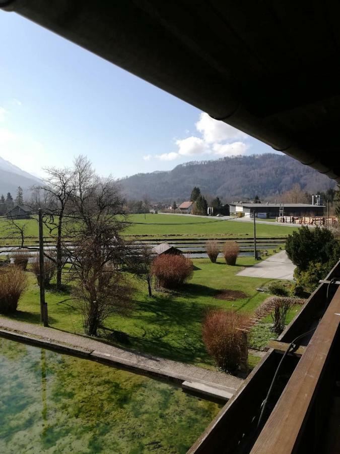 Wieselmuehle Forellenhof Gruenau im Almtal Exterior photo