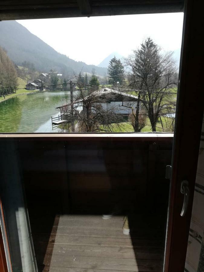 Wieselmuehle Forellenhof Gruenau im Almtal Exterior photo