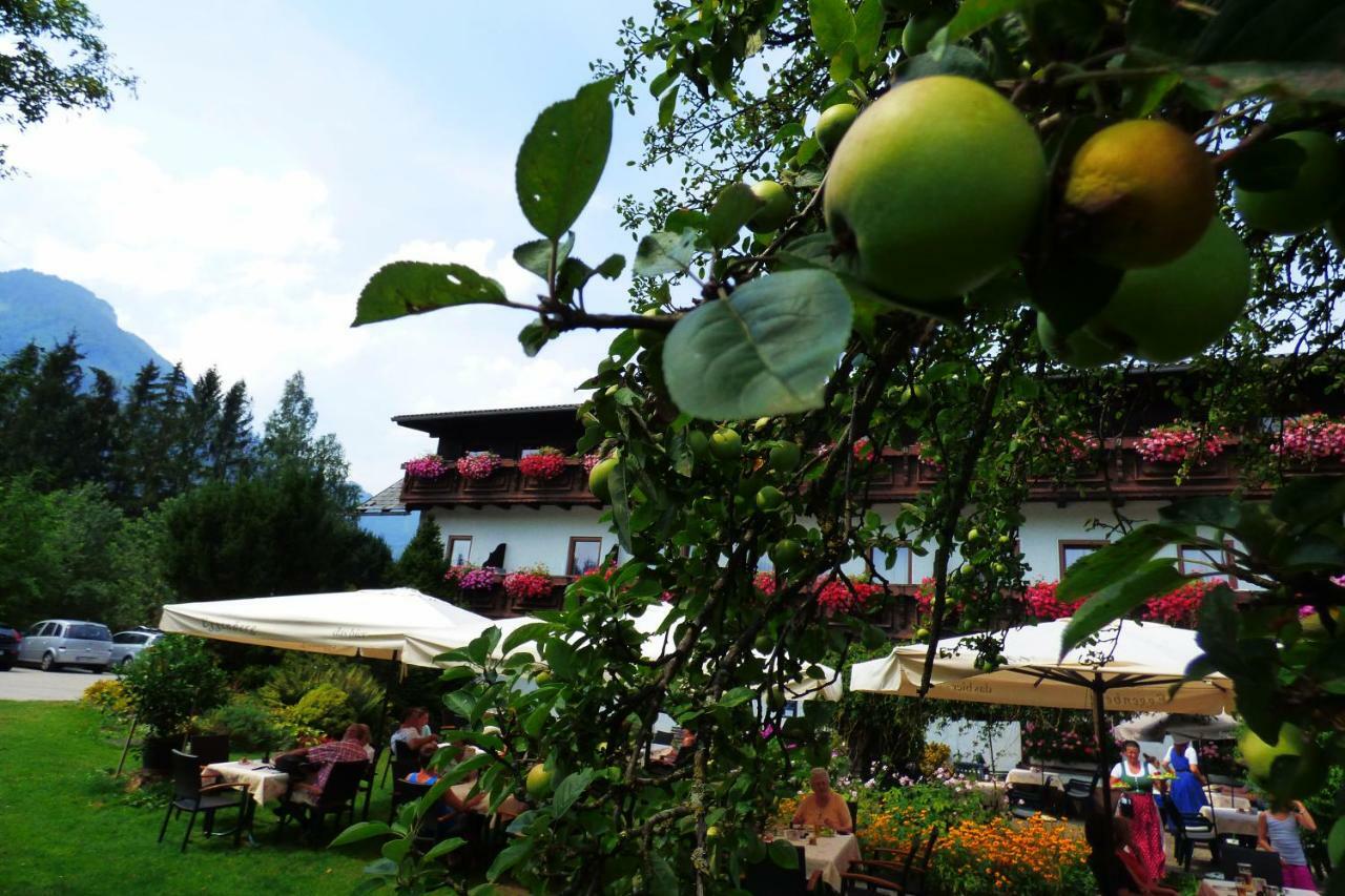 Wieselmuehle Forellenhof Gruenau im Almtal Exterior photo